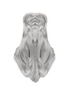 Кольцо из белого золота c бриллиантами